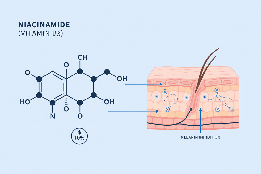 10% Niacinamide: The Complete Guide for Dark Spots & Pigmentation in India